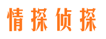 谯城市调查公司